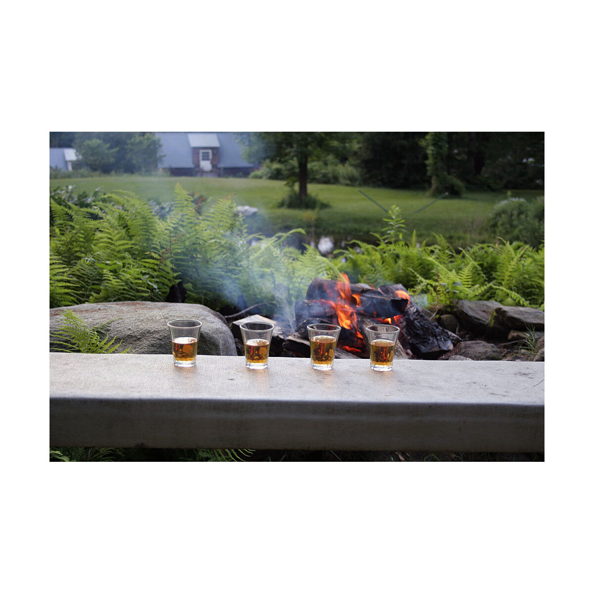 Glas Duralex 1003AC04/4 4 antal (130 ml) - 4