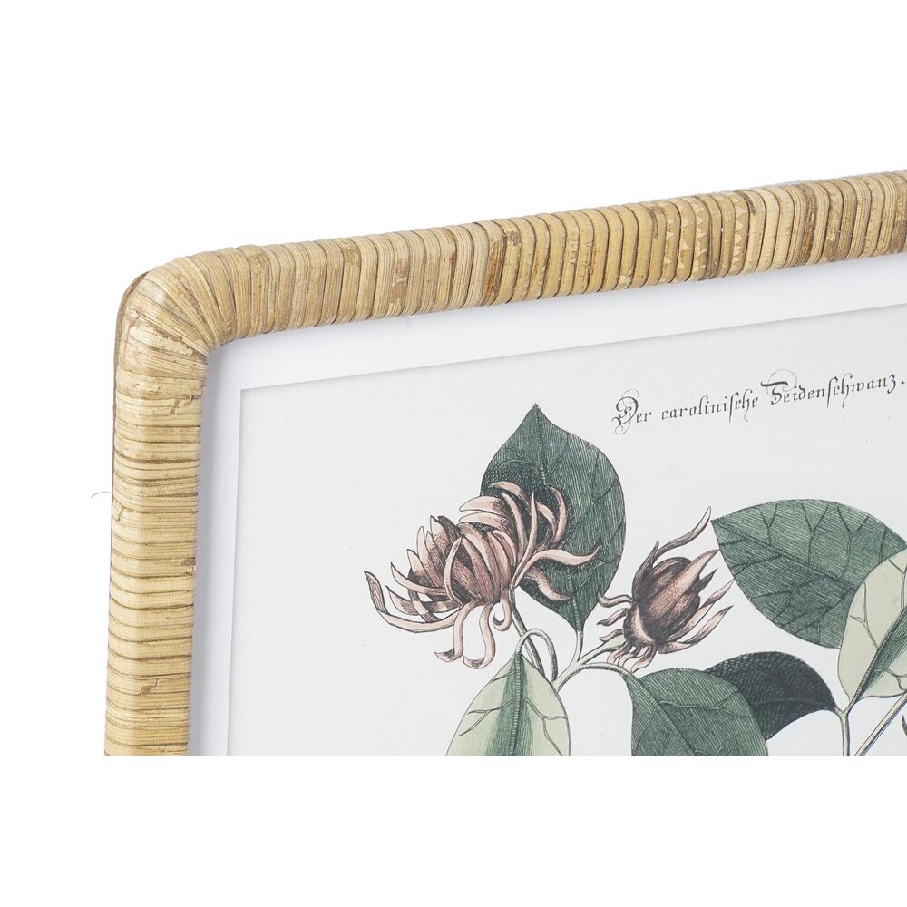 Tavla DKD Home Decor 50 x 2,5 x 65 cm Shabby Chic Botaniska växter (4 Delar) - 2