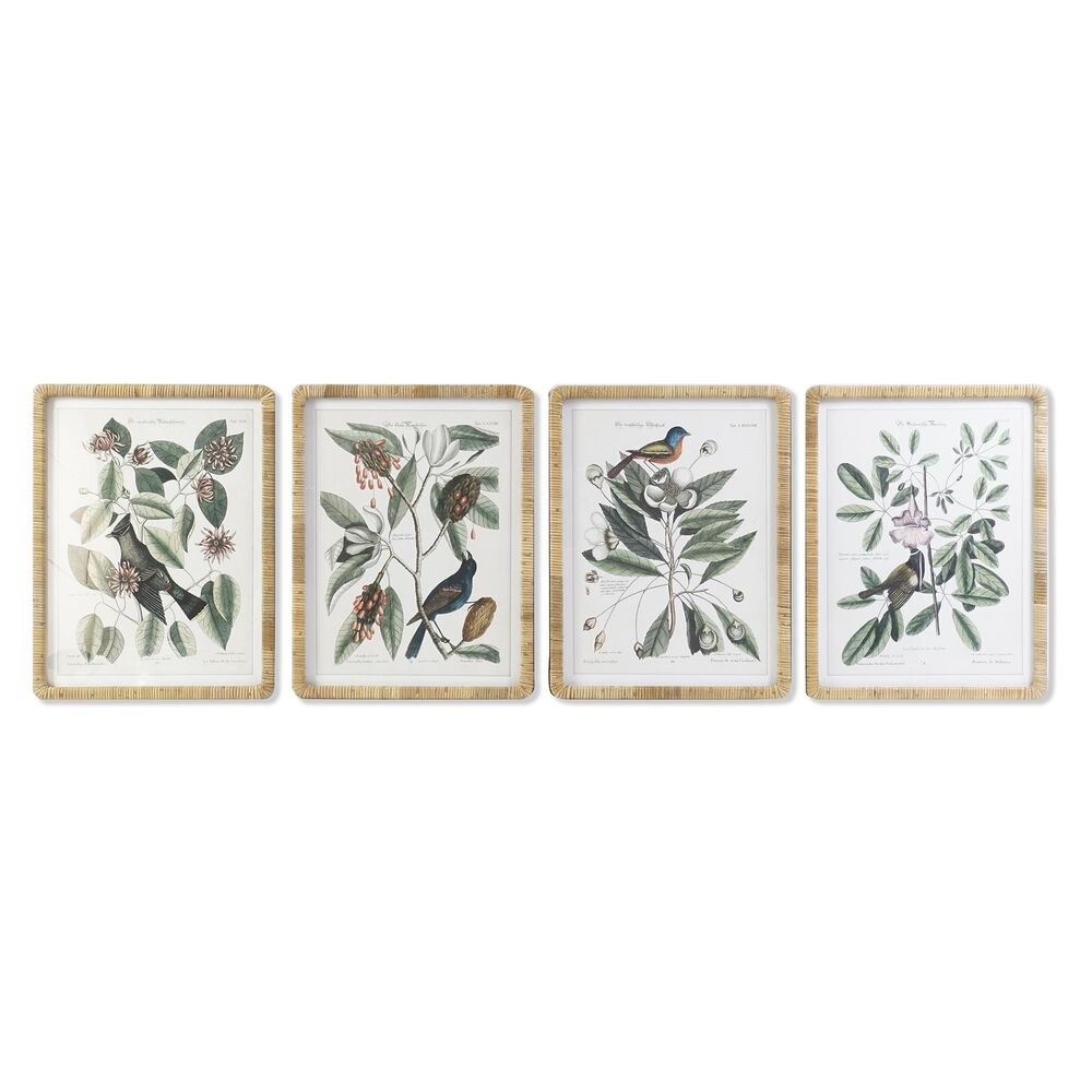 Tavla DKD Home Decor 50 x 2,5 x 65 cm Shabby Chic Botaniska växter (4 Delar)