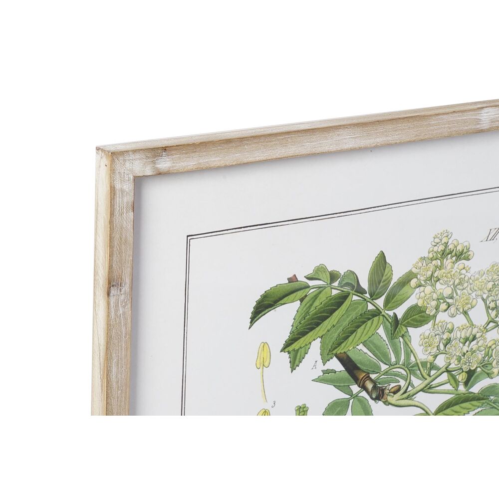 Tavla DKD Home Decor 55 x 2 x 70 cm Shabby Chic Botaniska växter (6 Delar) - 2