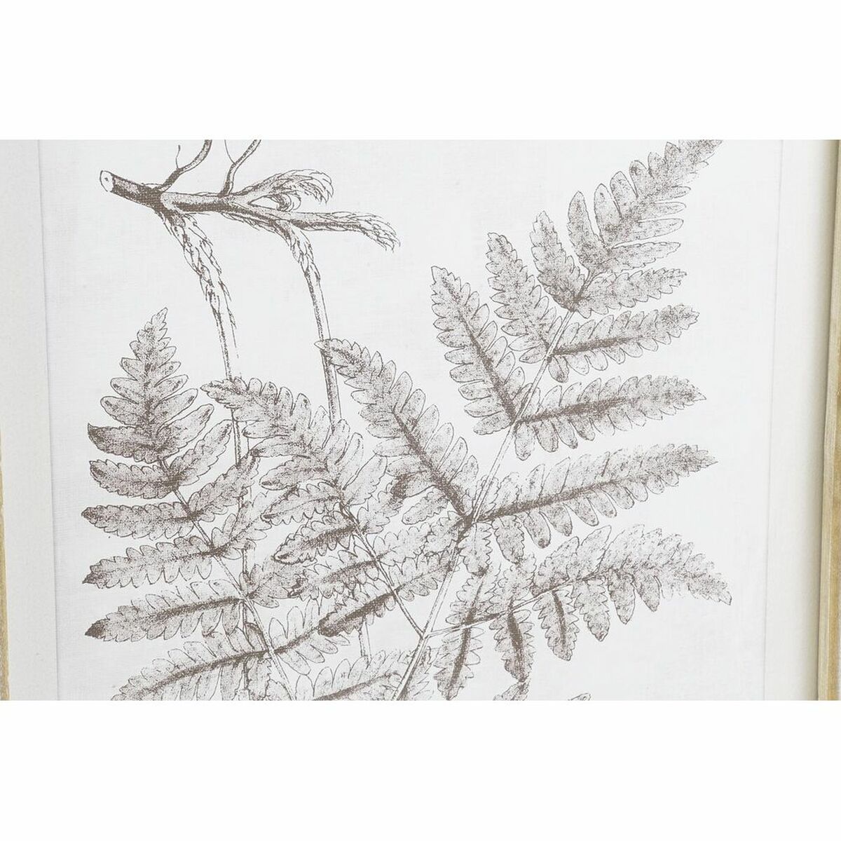 Tavla DKD Home Decor 50 x 2,5 x 70 cm Modern Botaniska växter (8 Delar) - 6