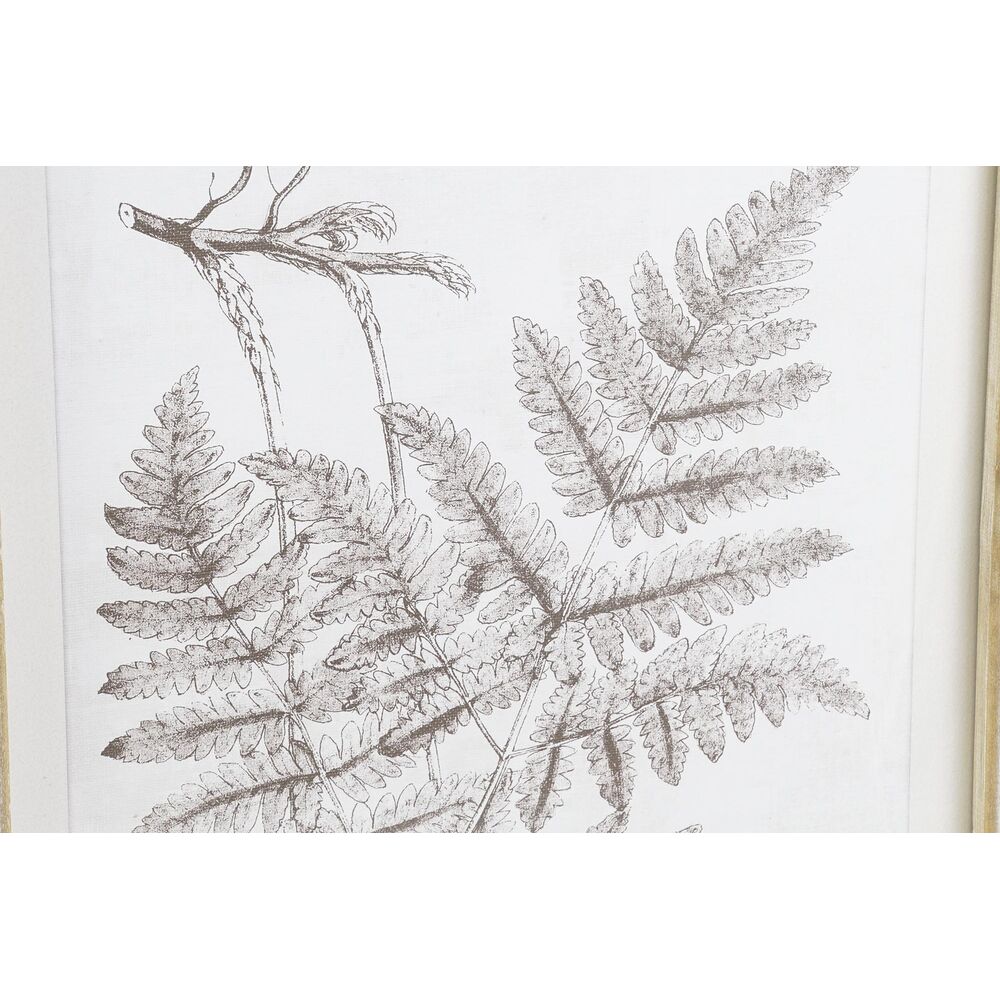 Tavla DKD Home Decor 50 x 2,5 x 70 cm Modern Botaniska växter (8 Delar) - 3