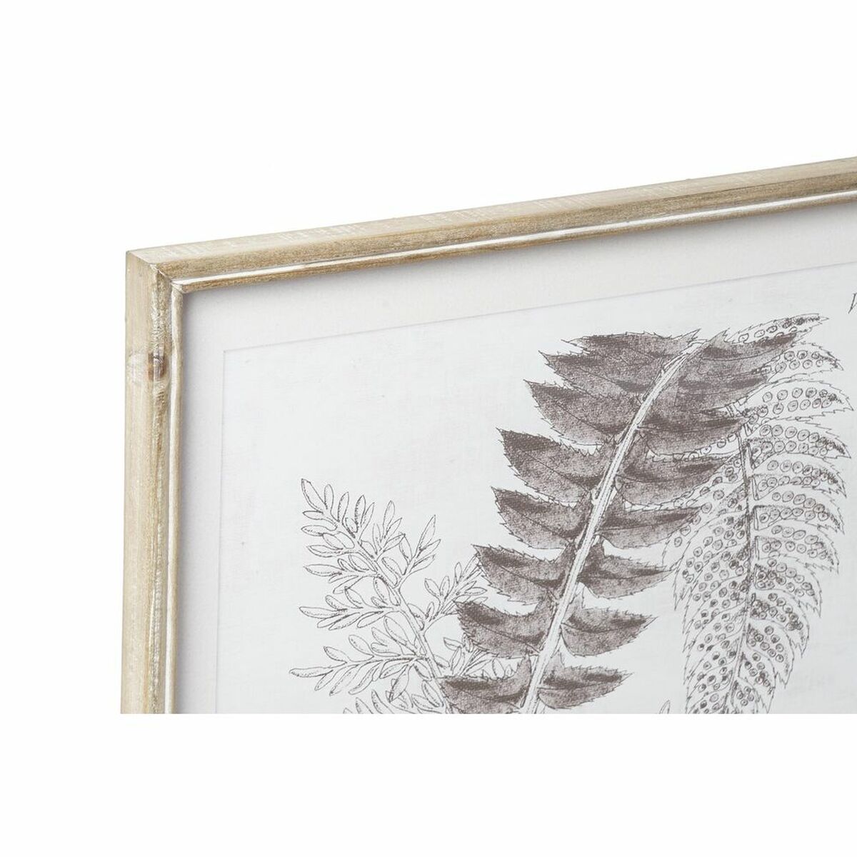 Tavla DKD Home Decor 50 x 2,5 x 70 cm Modern Botaniska växter (8 Delar) - 5