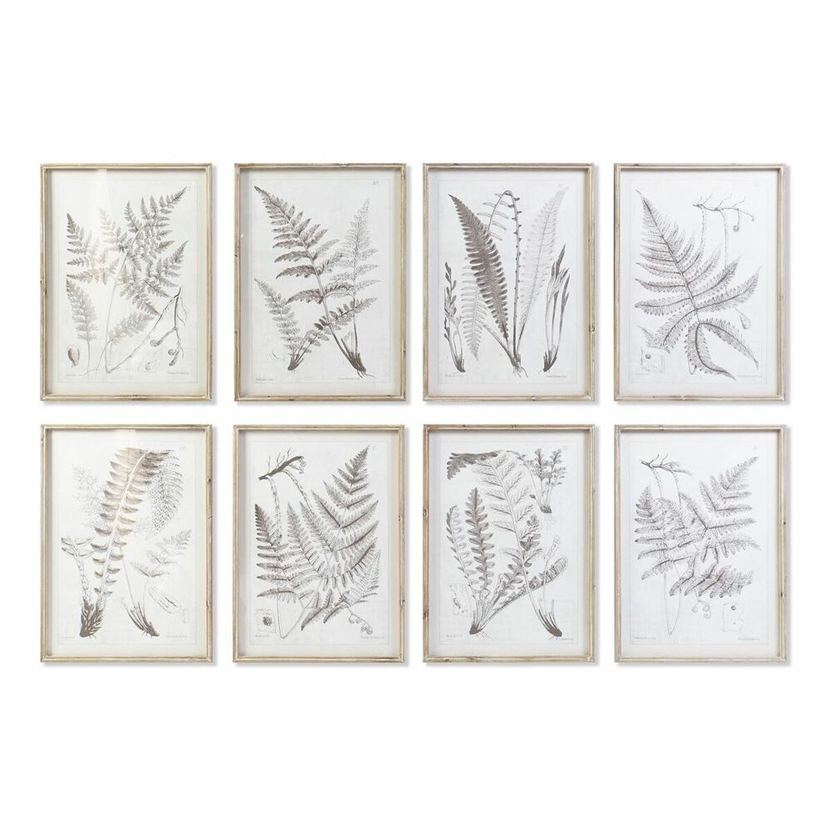 Tavla DKD Home Decor 50 x 2,5 x 70 cm Modern Botaniska växter (8 Delar) - 4