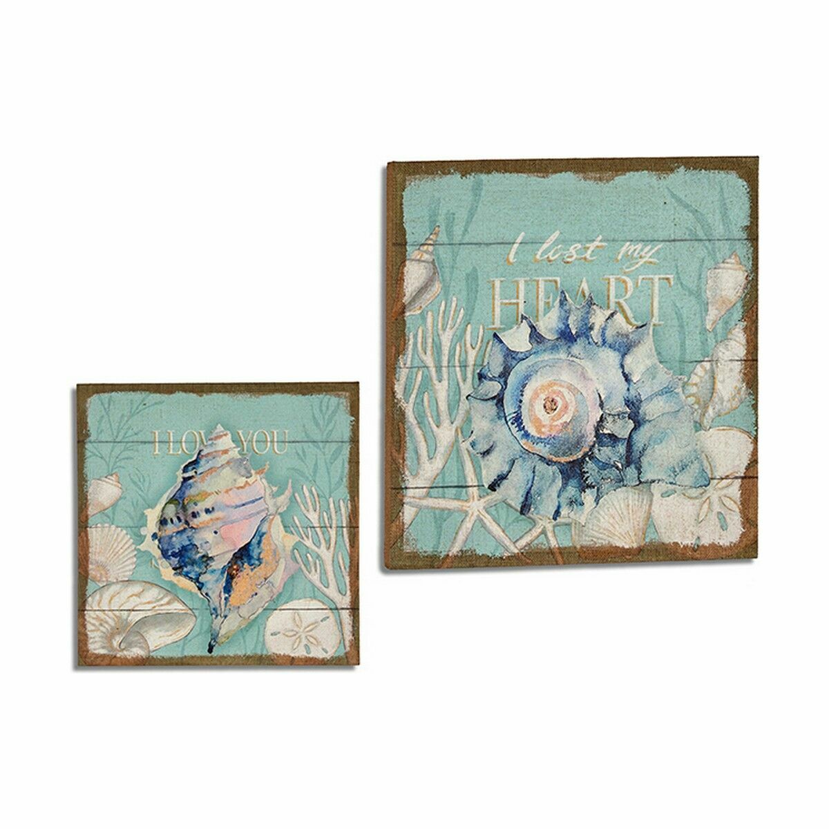 Kanvas Snigel 50 x 3 x 50 cm (4 antal) - 2