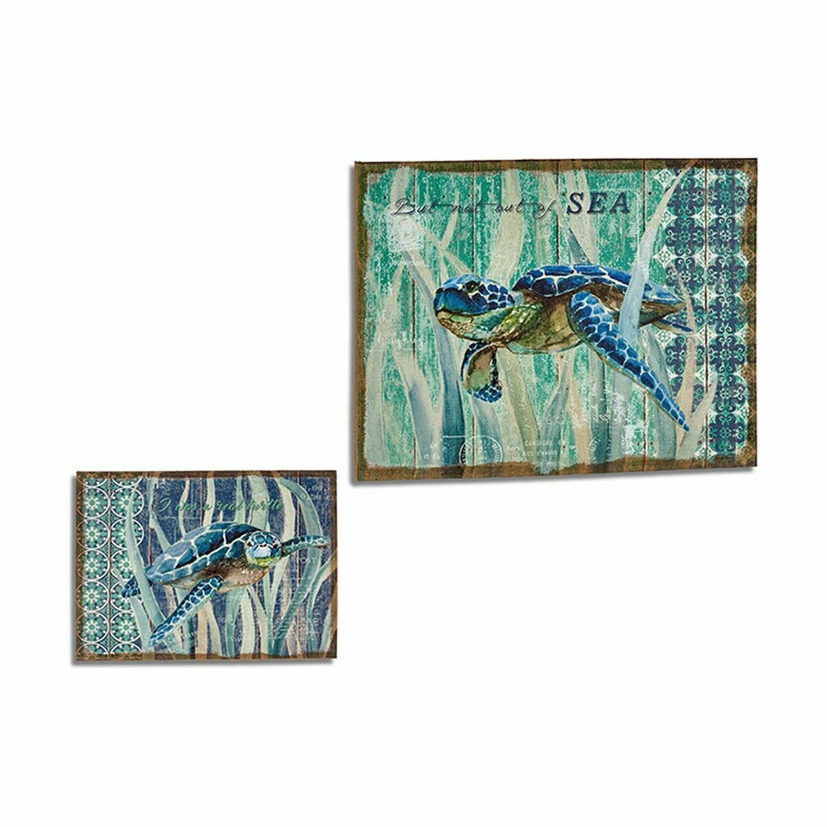 Kanvas Sköldpadda 70 x 3 x 50 cm (4 antal) - 2