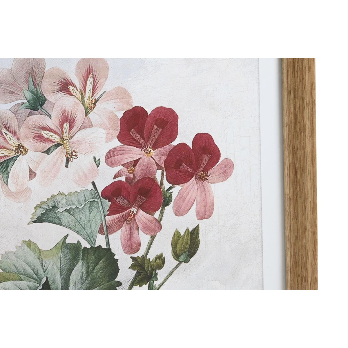 Tavla DKD Home Decor 40 x 2 x 50 cm Shabby Chic Botaniska växter (9 antal) - 3