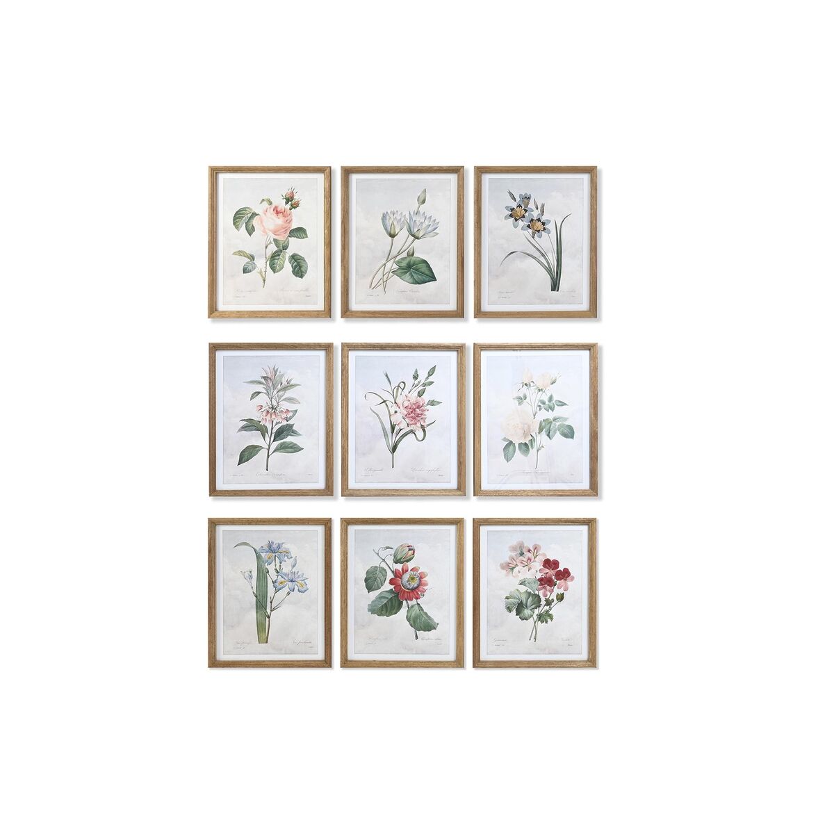 Tavla DKD Home Decor 40 x 2 x 50 cm Shabby Chic Botaniska växter (9 antal)