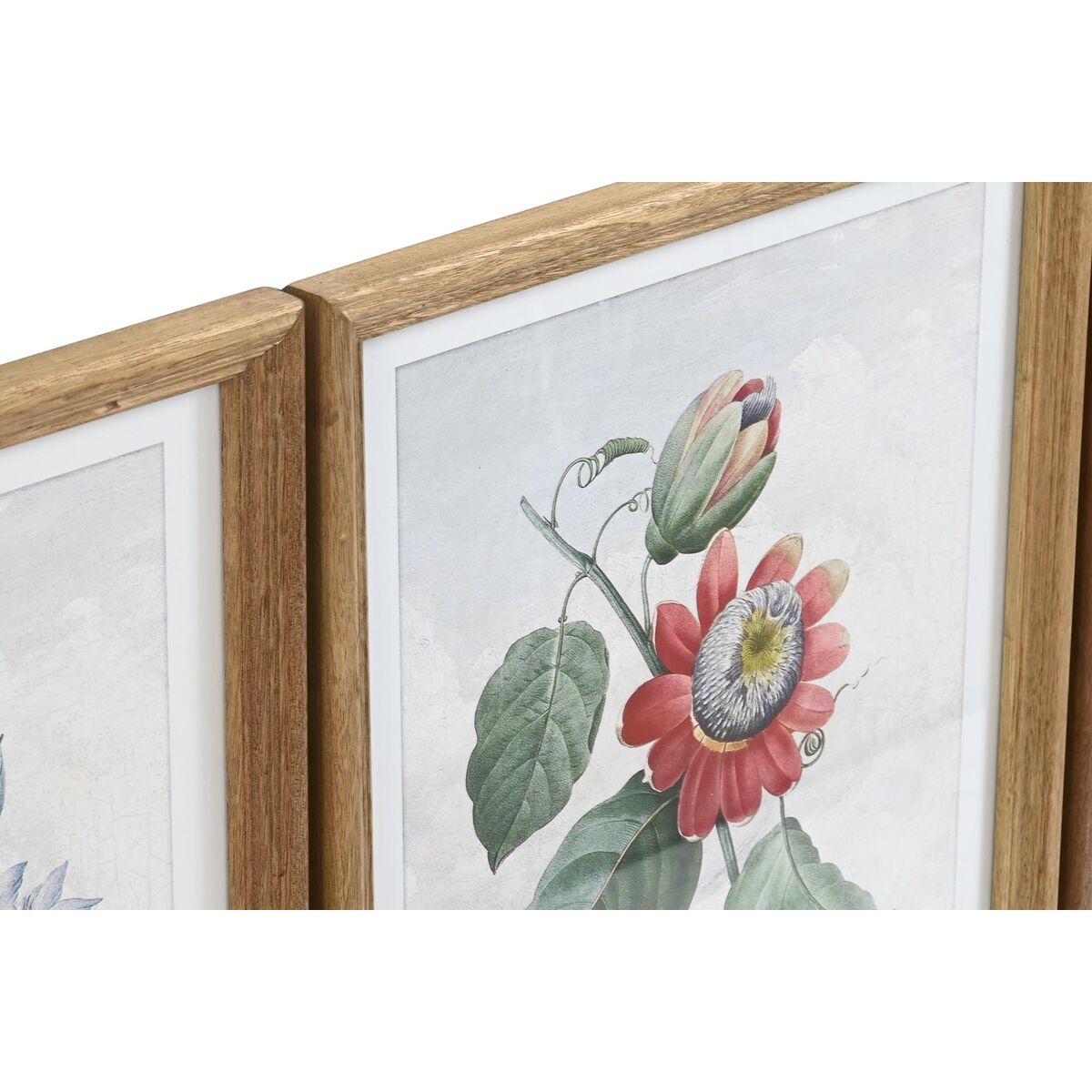 Tavla DKD Home Decor 40 x 2 x 50 cm Shabby Chic Botaniska växter (9 antal) - 2