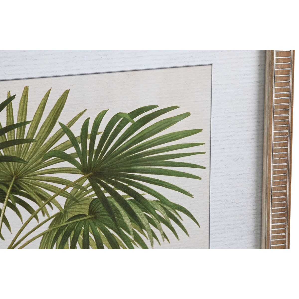 Tavla DKD Home Decor 65 x 2 x 50 cm Palmer Tropiskt (4 Delar) - 3