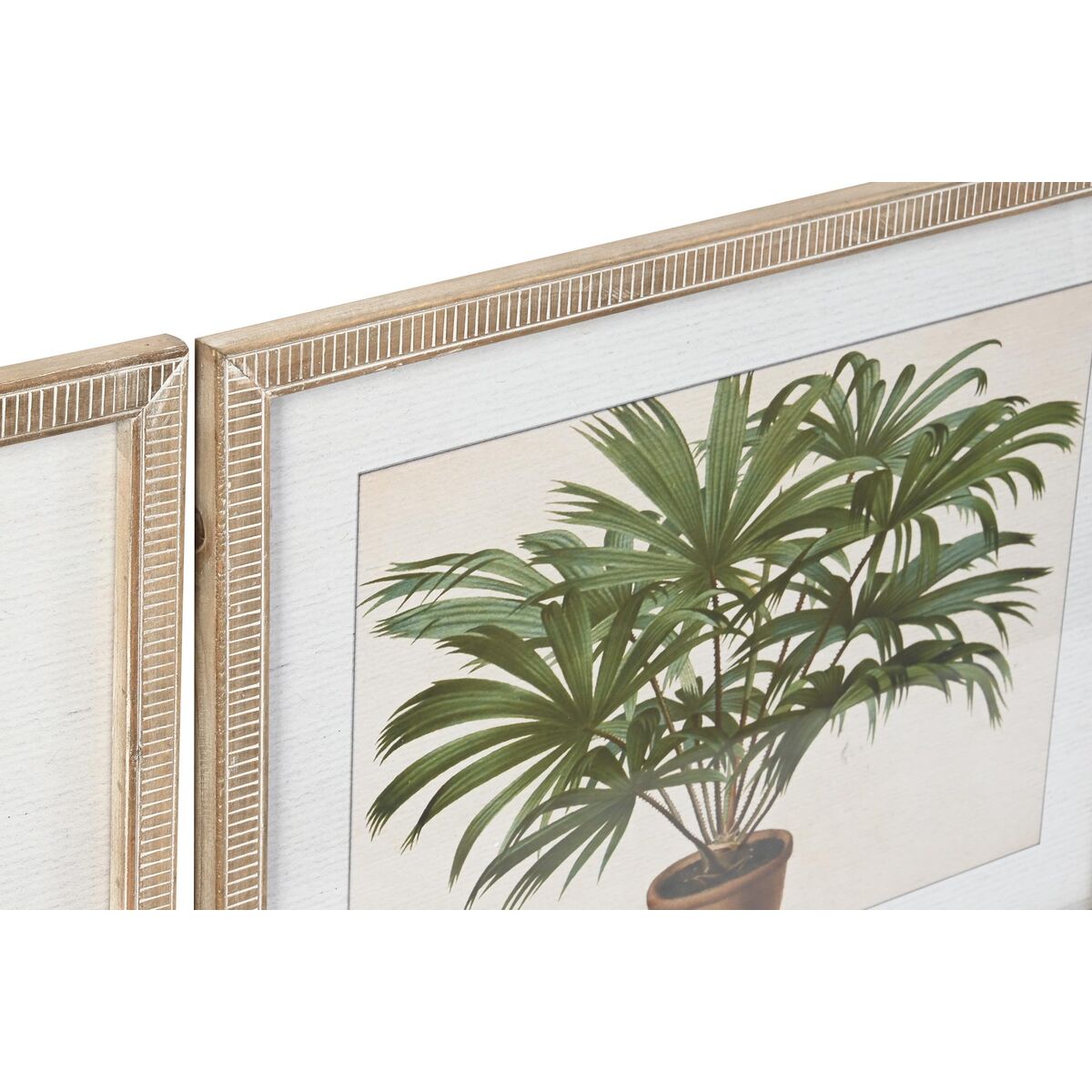 Tavla DKD Home Decor 65 x 2 x 50 cm Palmer Tropiskt (4 Delar) - 5