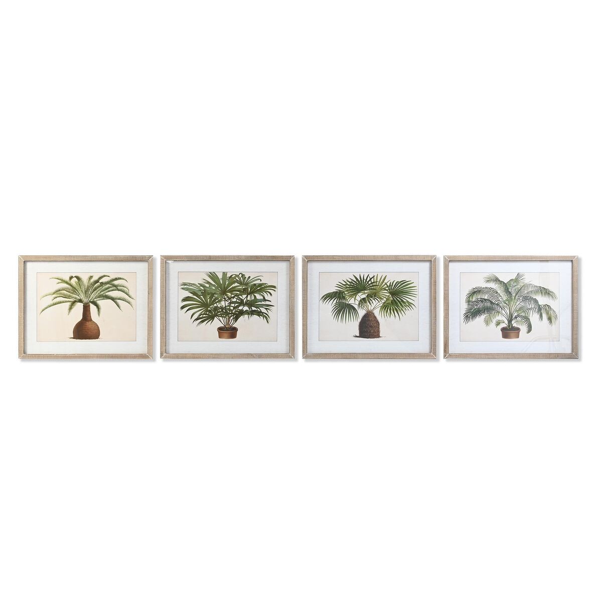 Tavla DKD Home Decor 65 x 2 x 50 cm Palmer Tropiskt (4 Delar) - 4