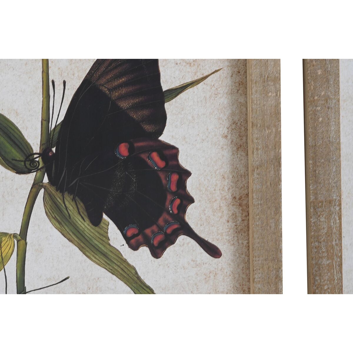 Tavla DKD Home Decor Fjärilar 40 x 2 x 50 cm Shabby Chic (4 Delar) - 6