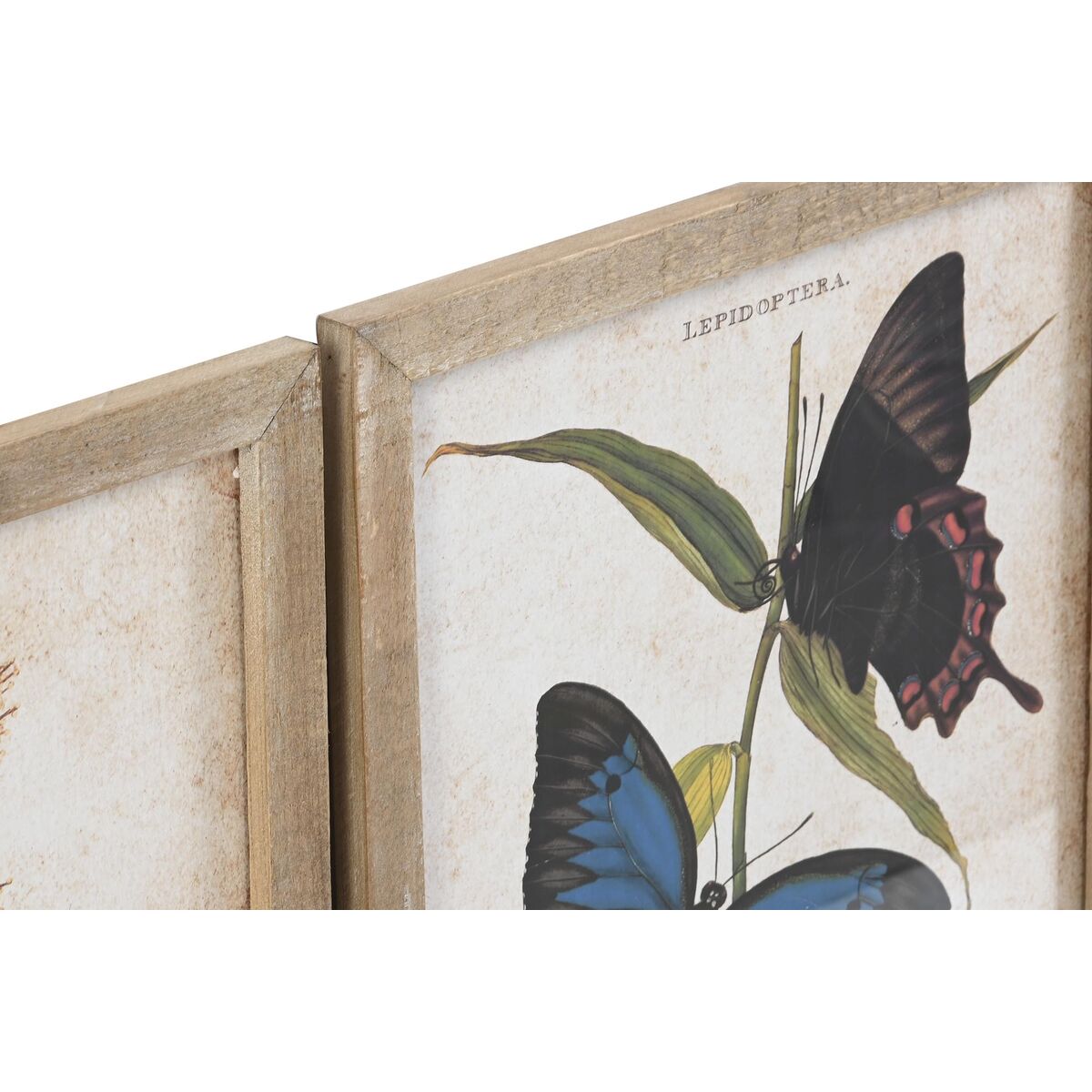 Tavla DKD Home Decor Fjärilar 40 x 2 x 50 cm Shabby Chic (4 Delar) - 5