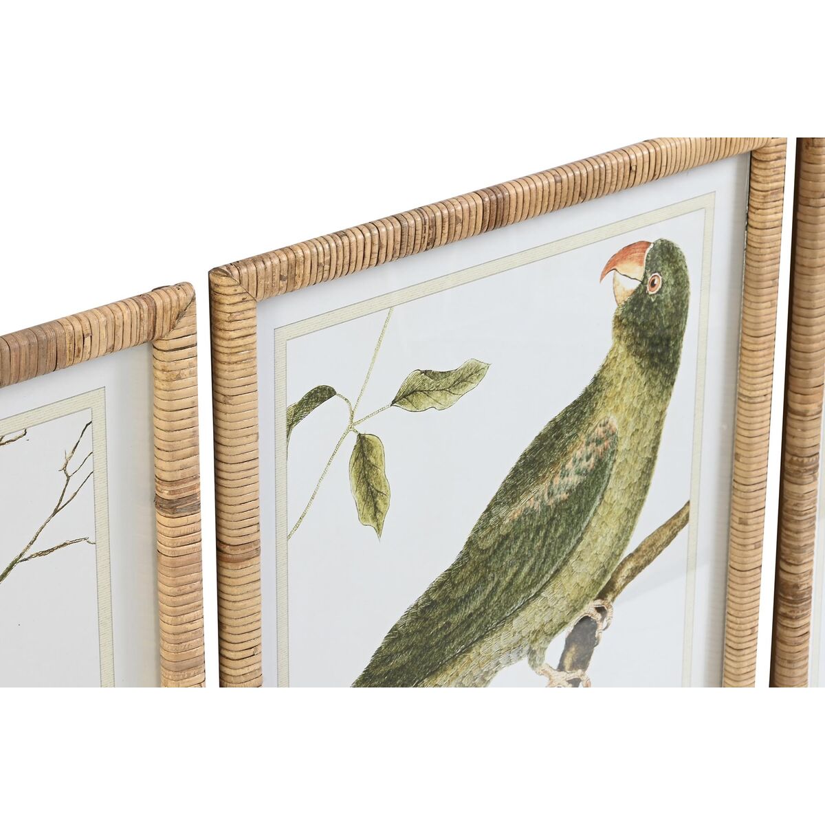 Tavla DKD Home Decor 50 x 2,5 x 60 cm Tropiskt Fåglar (4 Delar) - 2