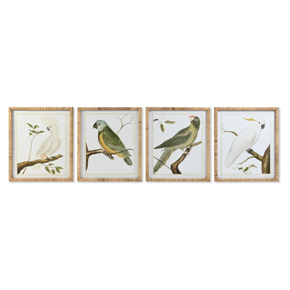 Tavla DKD Home Decor 50 x 2,5 x 60 cm Tropiskt Fåglar (4 Delar) - 4