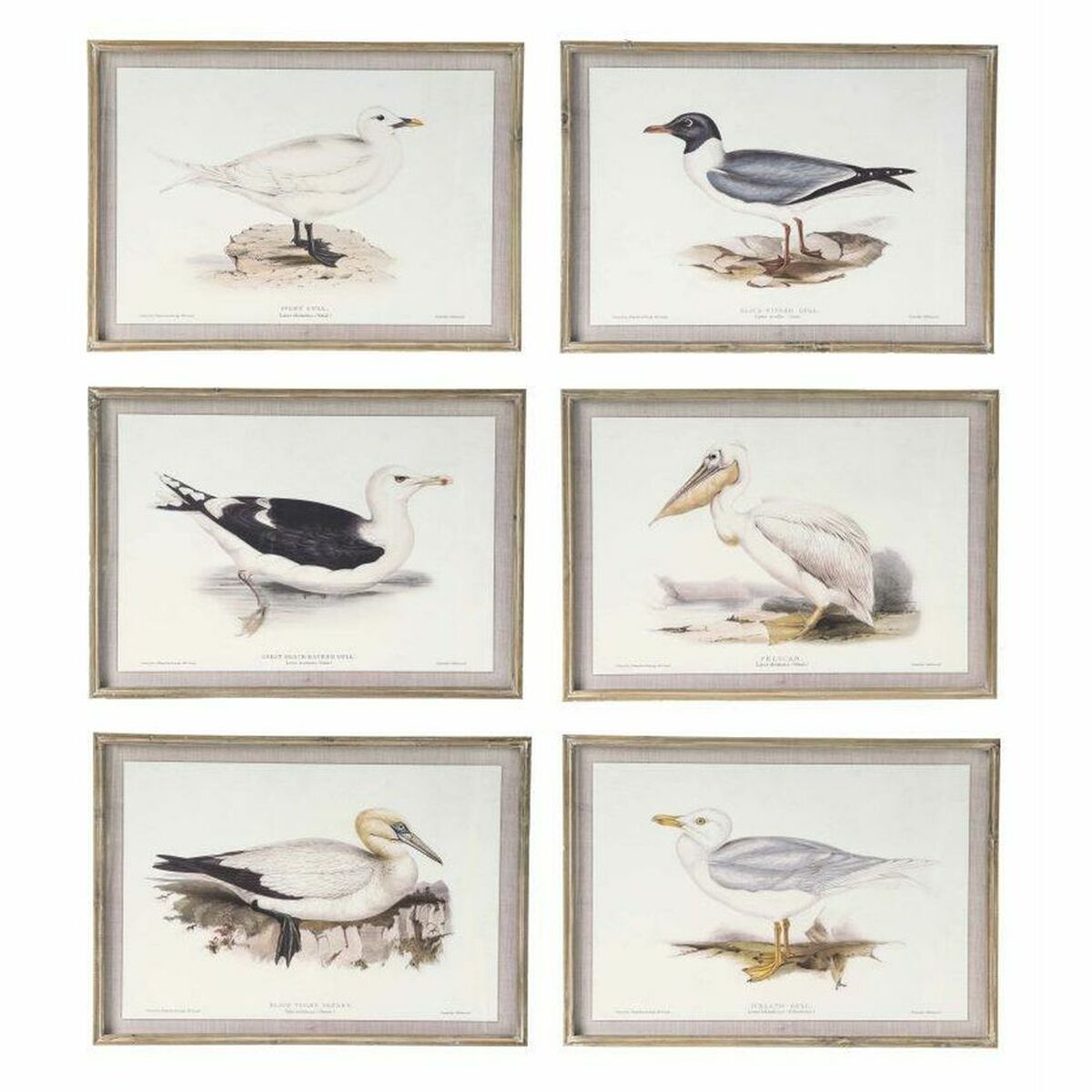 Tavla DKD Home Decor 70 x 2,5 x 50 cm Traditionell Fåglar (6 Delar) - 2