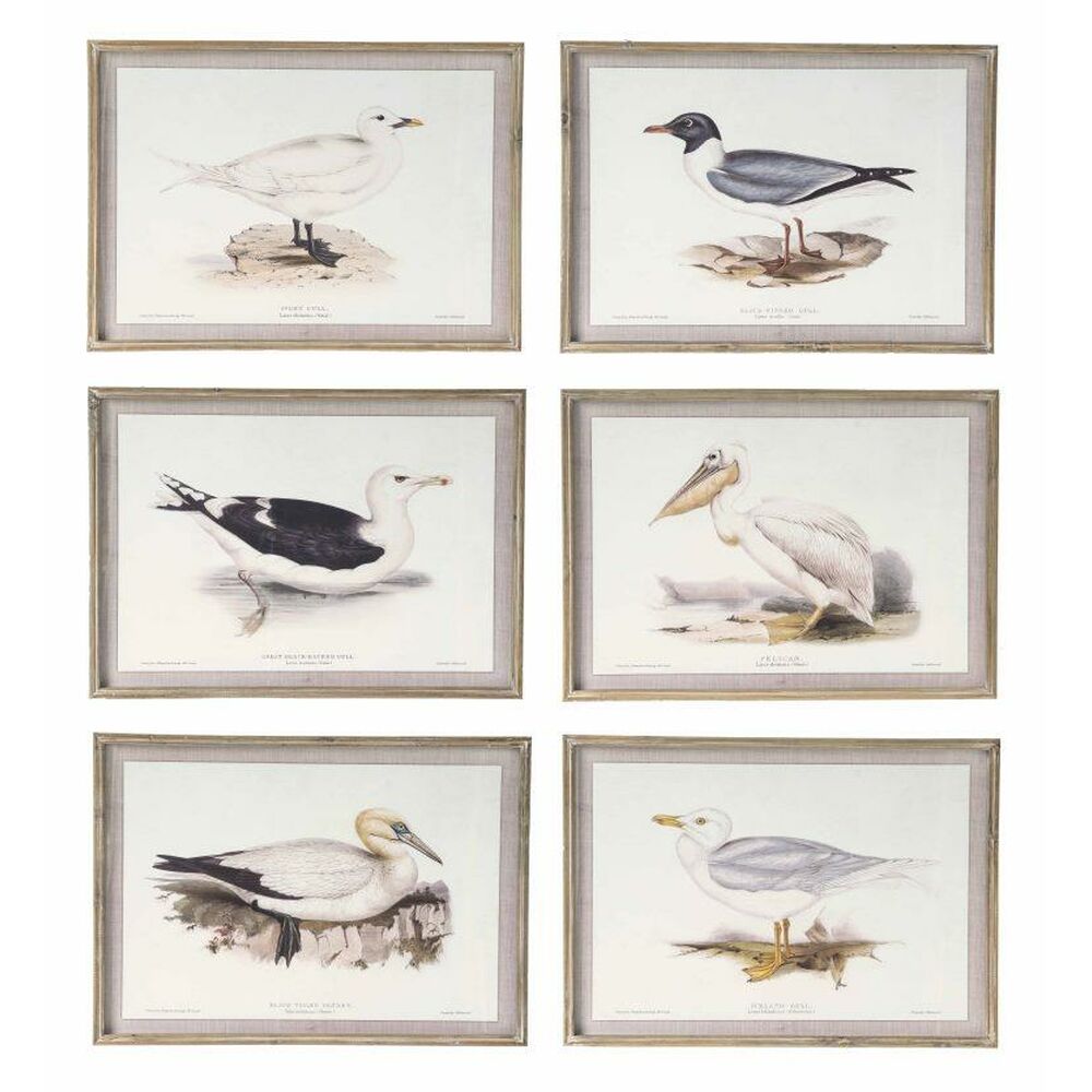 Tavla DKD Home Decor 70 x 2,5 x 50 cm Traditionell Fåglar (6 Delar)