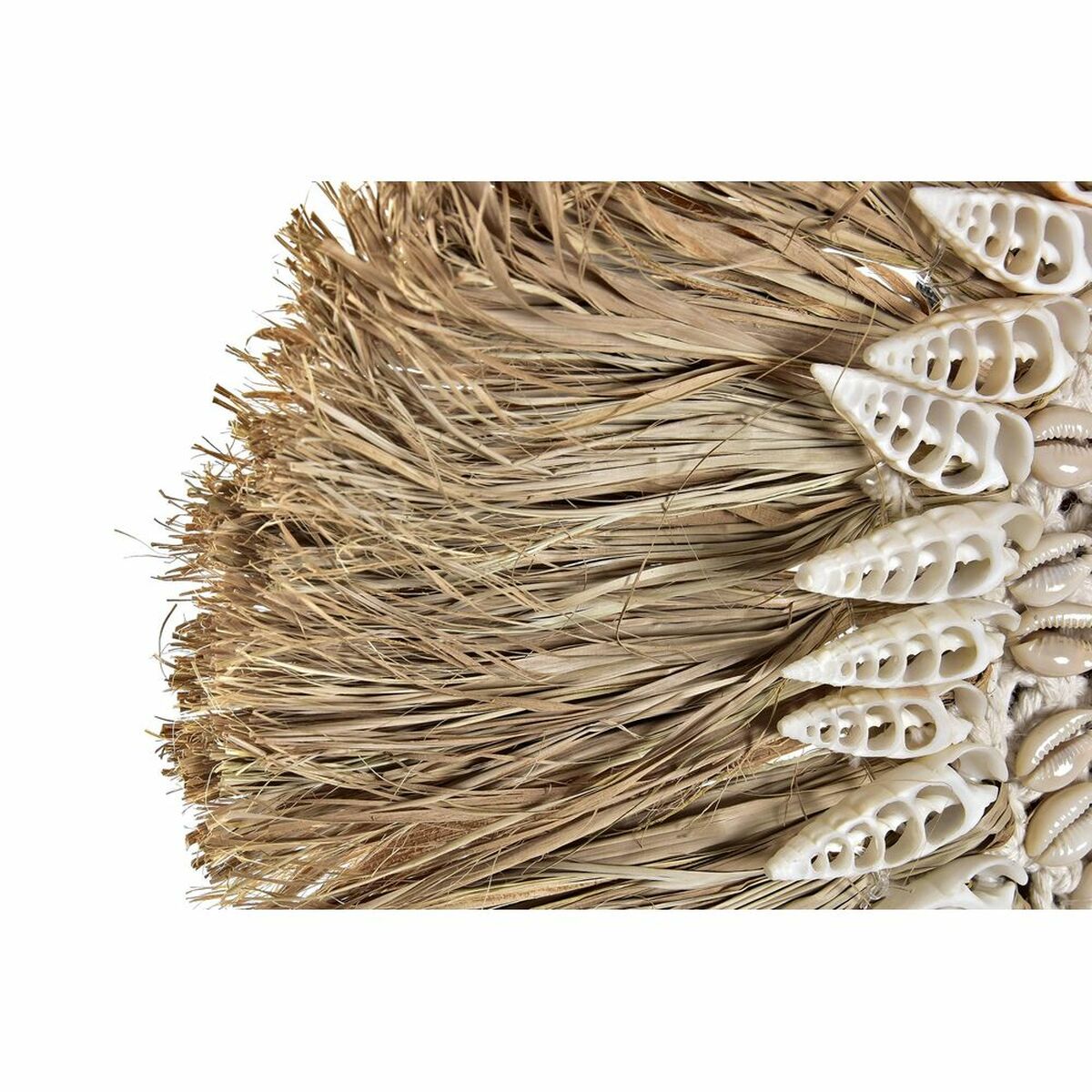 Väggspegel DKD Home Decor Naturell Vit Snäckor (55 x 2,5 x 55 cm) - 3