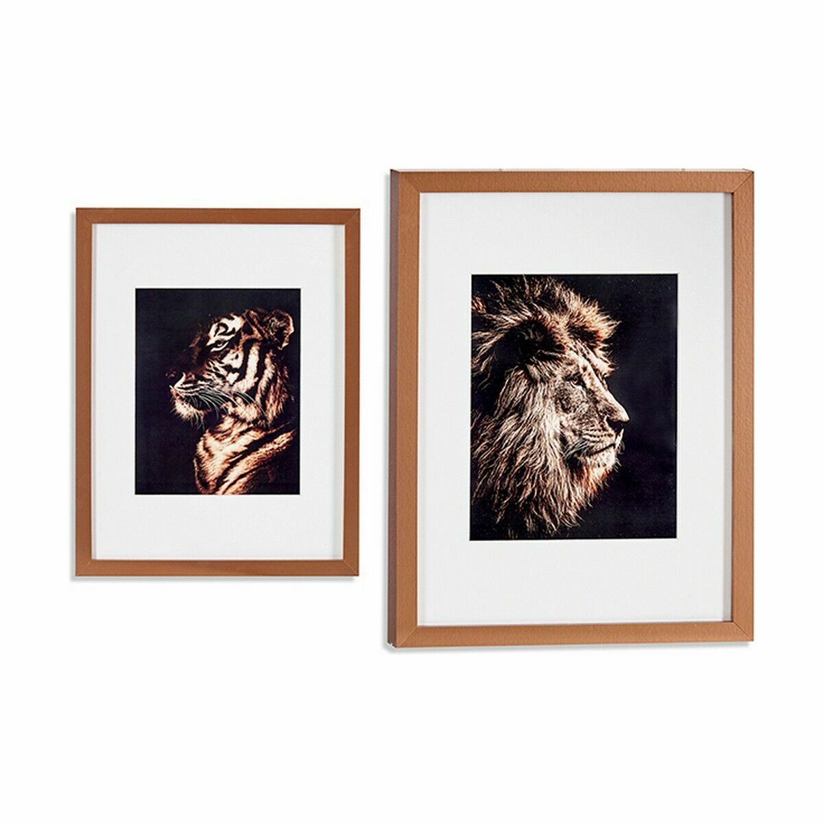 Tavla Tiger Lejonet Glas spånskiva 33 x 43 x 3 cm (8 antal) - 2