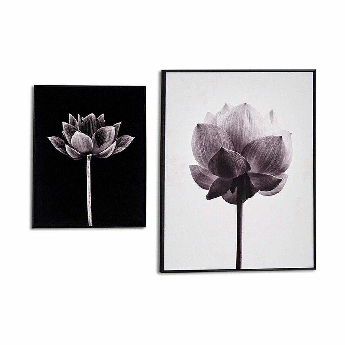Tavla Blomster spånskiva 41,2 x 51,5 x 2 cm (6 antal) - 2