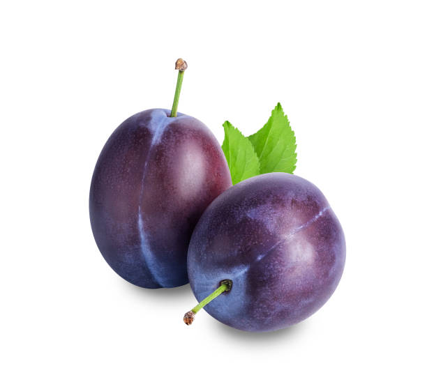 Plommon Sviskon (PL/HU) (kg)