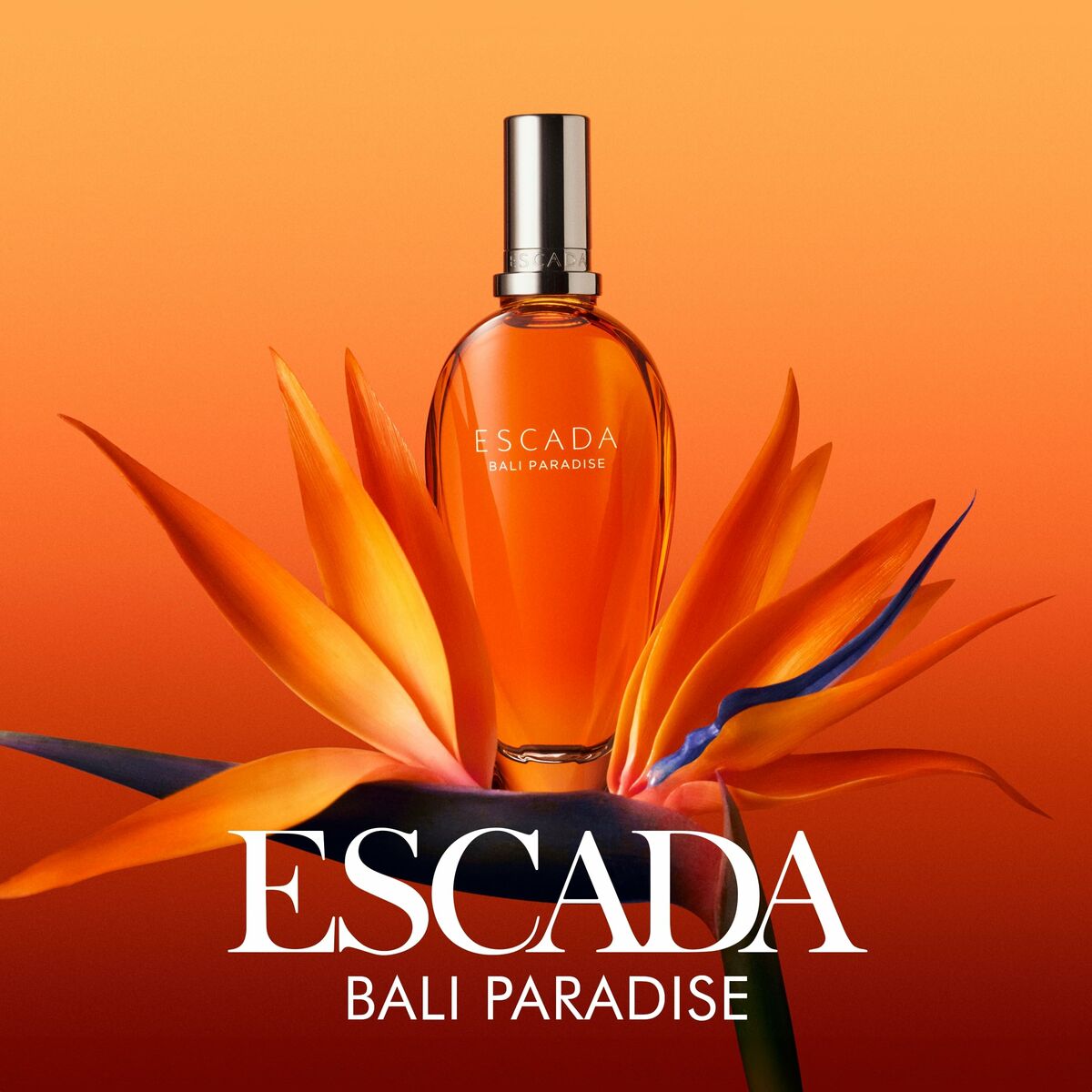 Parfym Damer Escada BALI PARADISE 30 ml - 2