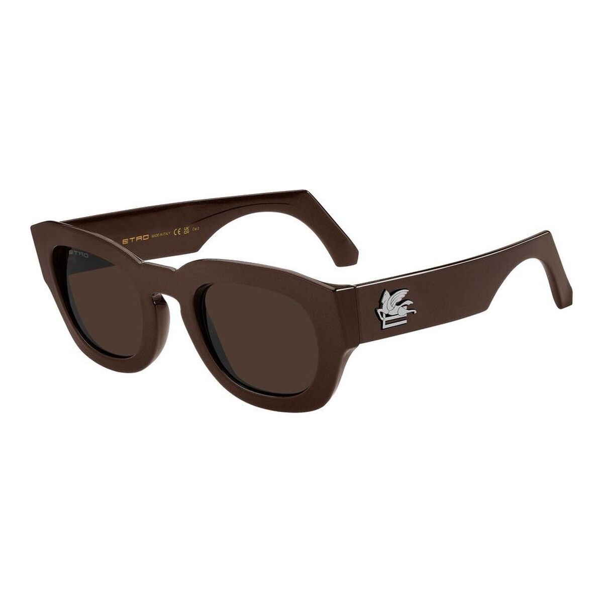 Unisexsolglasögon Etro ETRO 0079_S