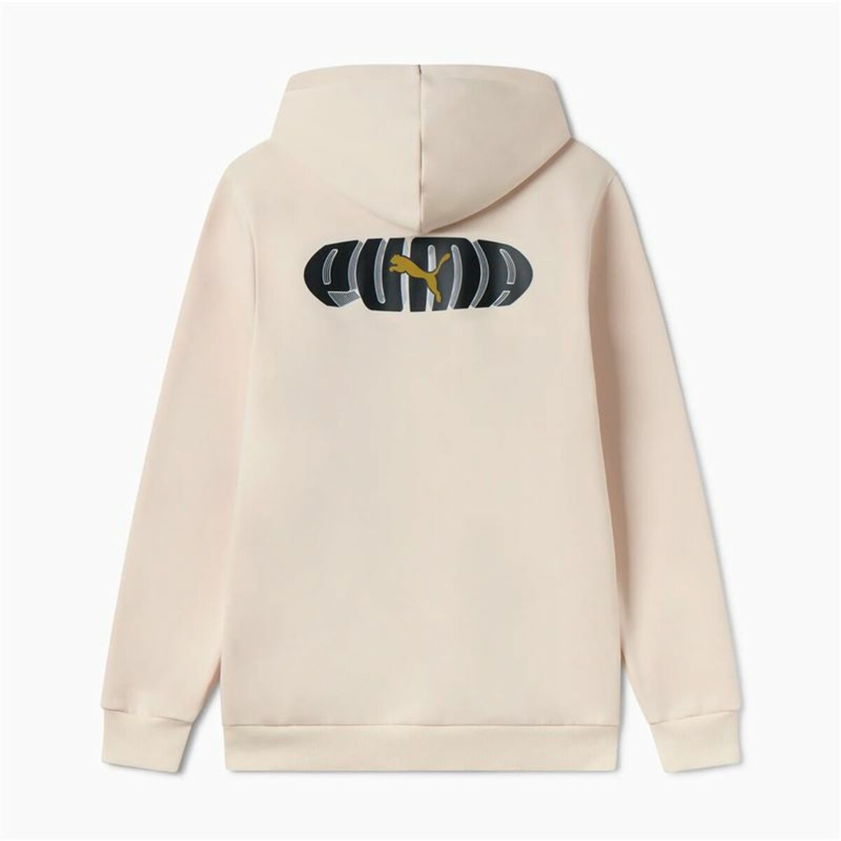 Tröja med huva Herr Puma Essentials+ Graphic Hoodie Fz Beige - 2