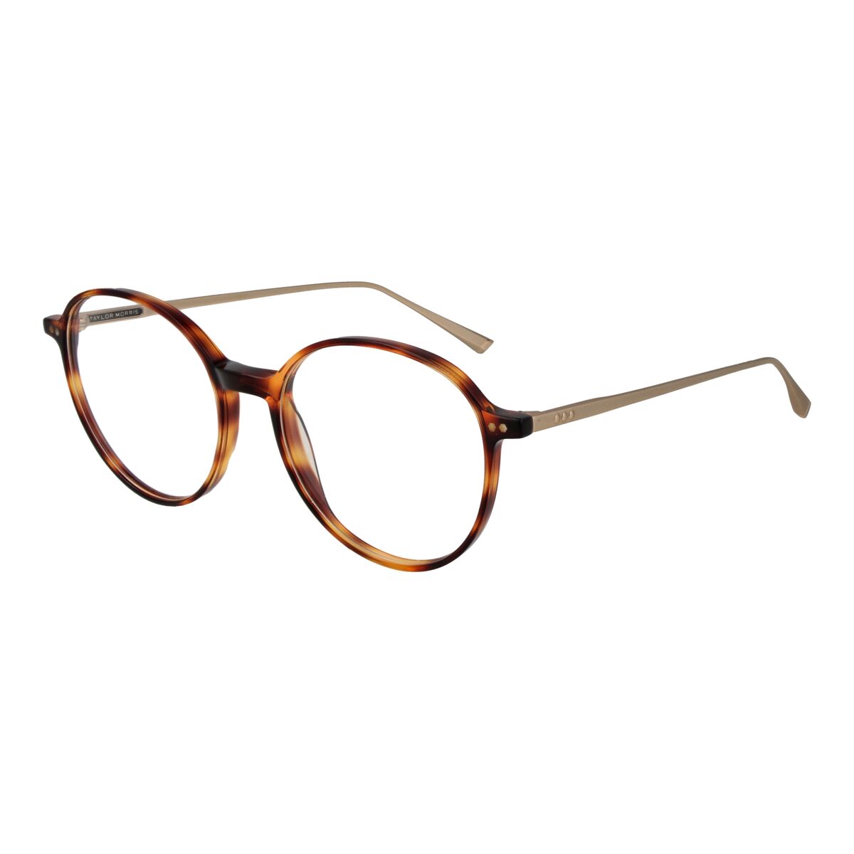 Glasögonbågar Taylor Morris SW15 C2