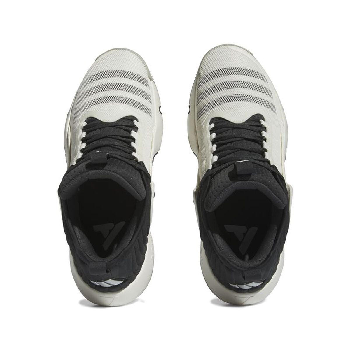 Basketskor, Vuxen Adidas IF5609 Svart - 2