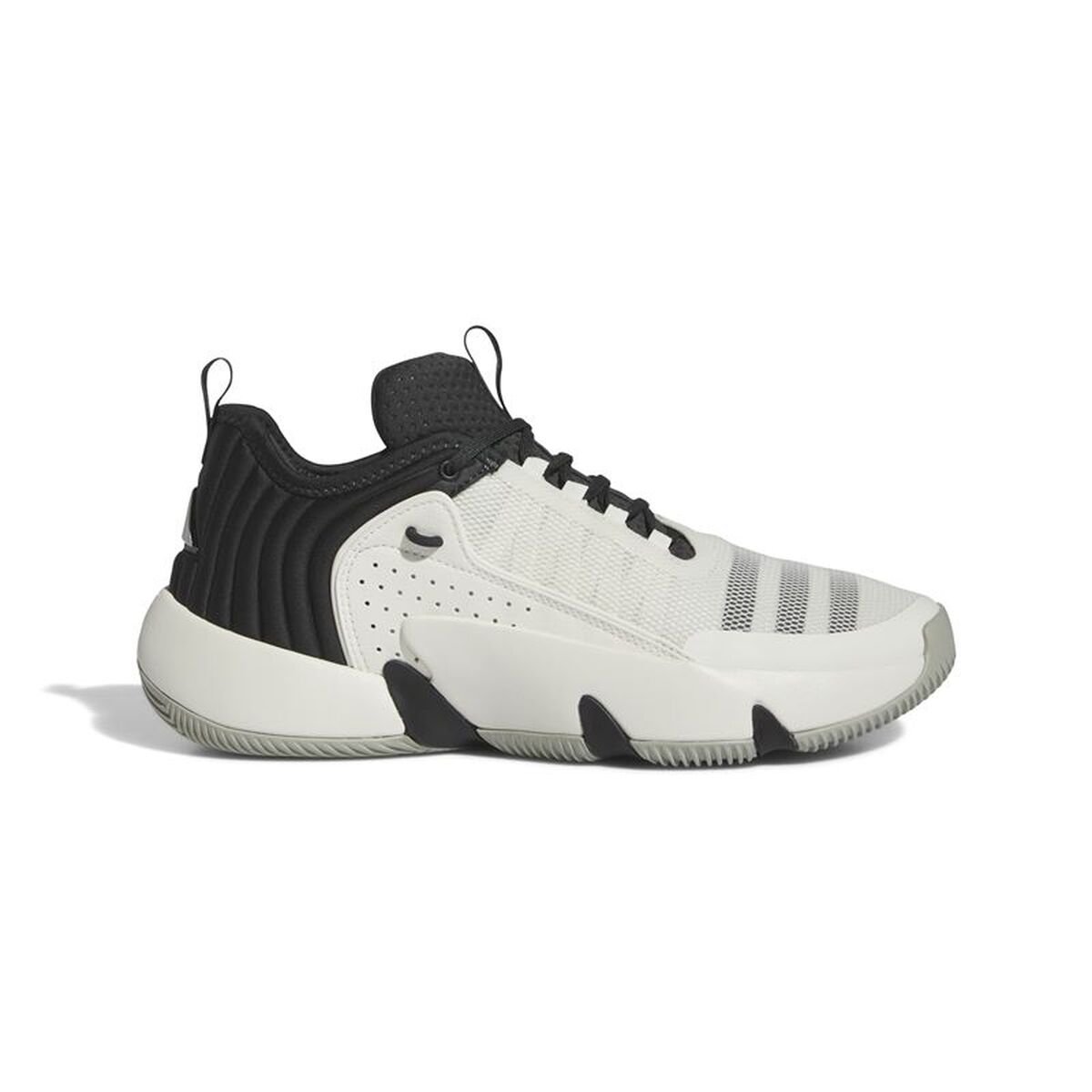 Basketskor, Vuxen Adidas IF5609 Svart