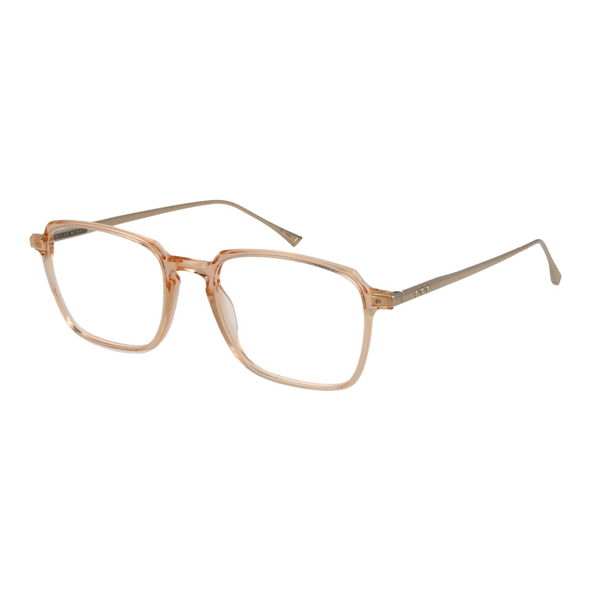 Glasögonbågar Taylor Morris SW3 53C5
