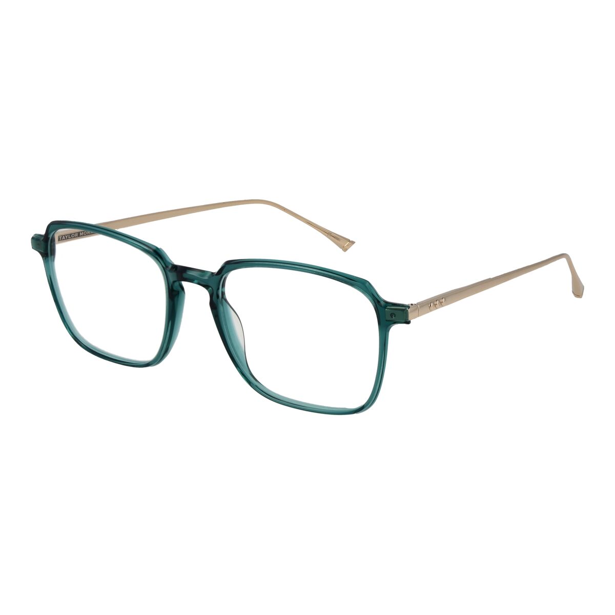 Glasögonbågar Taylor Morris SW3 53C6