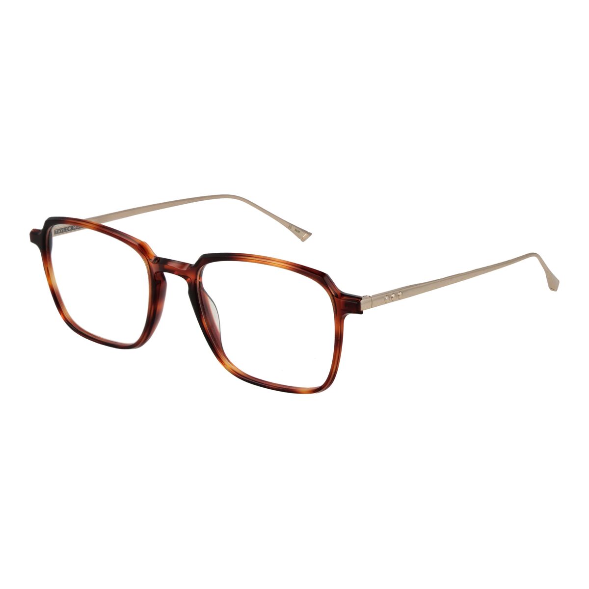 Glasögonbågar Taylor Morris SW3 53C7