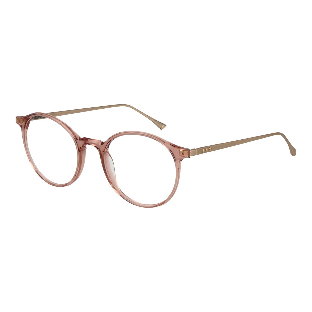 Glasögonbågar Taylor Morris SW4 49C3