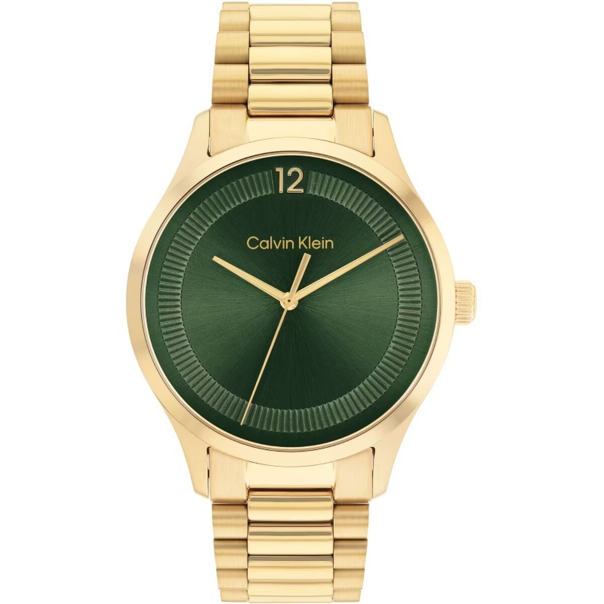 Herrklocka Calvin Klein 25200229 (Ø 40 mm)