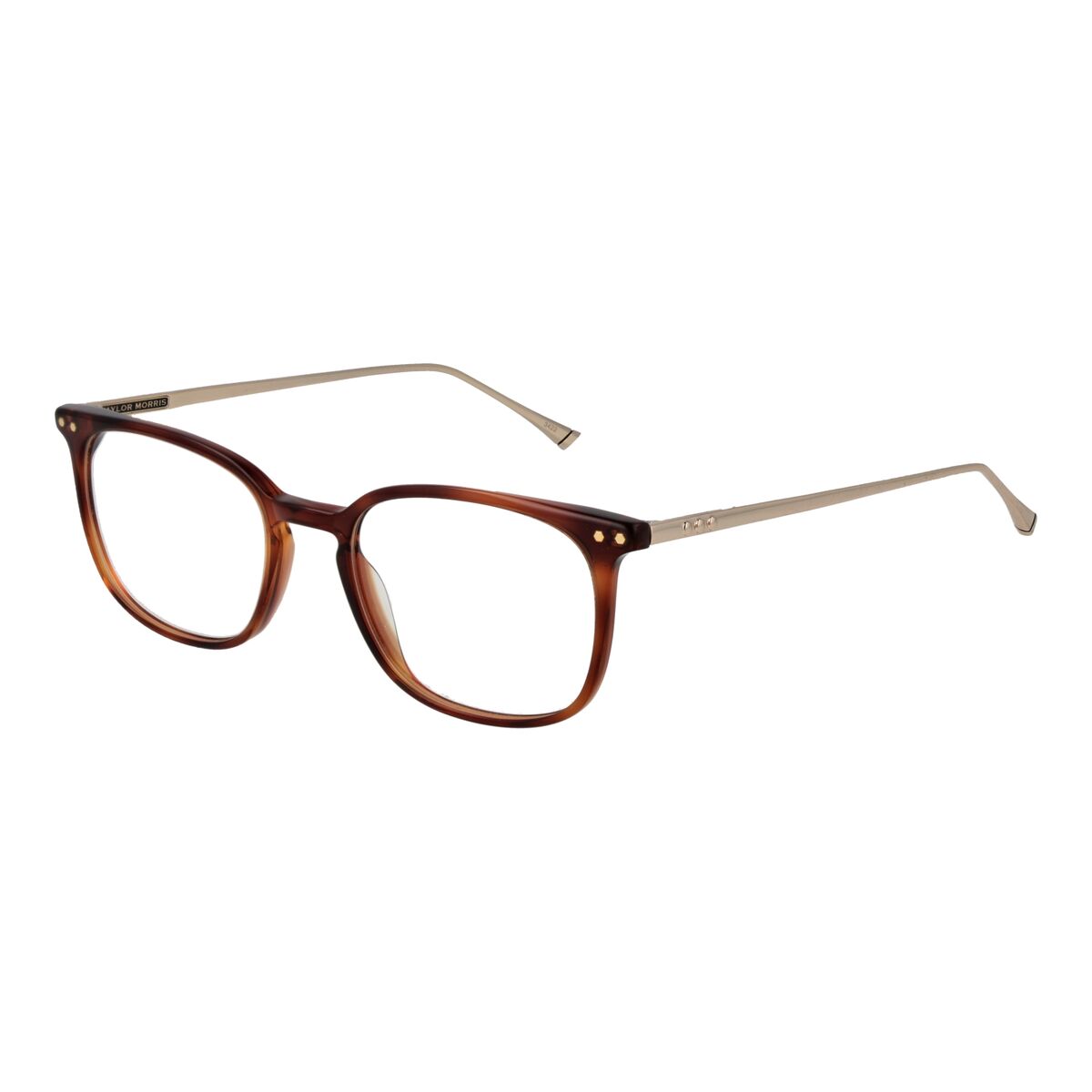 Glasögonbågar Taylor Morris TM06 49C2