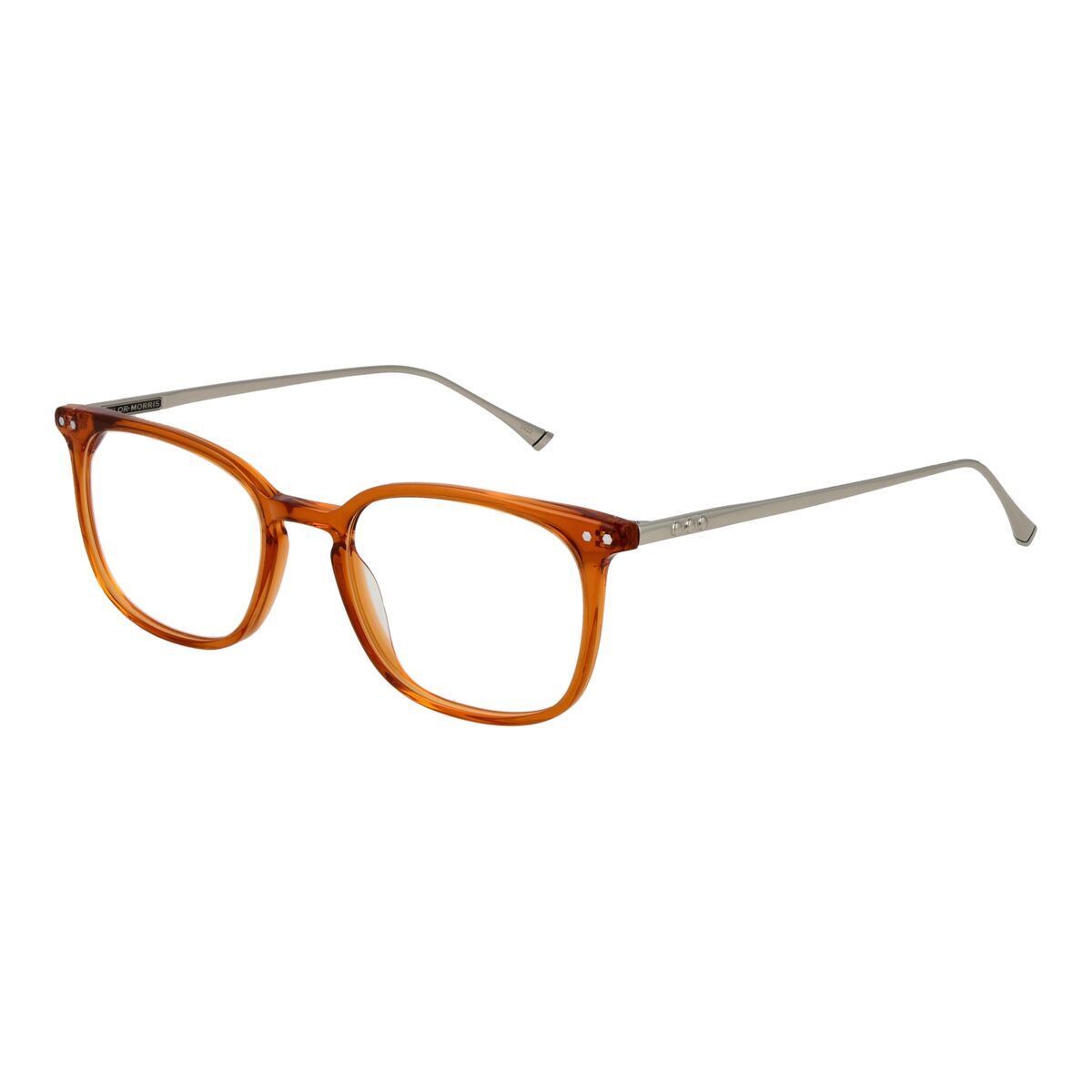 Glasögonbågar Taylor Morris TM06 49C3