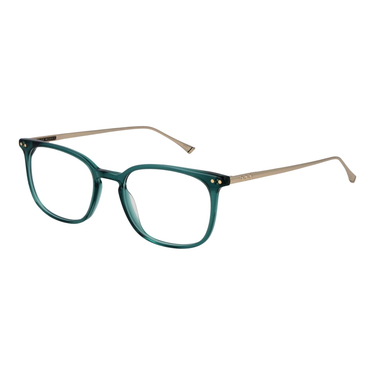 Glasögonbågar Taylor Morris TM06 49C4