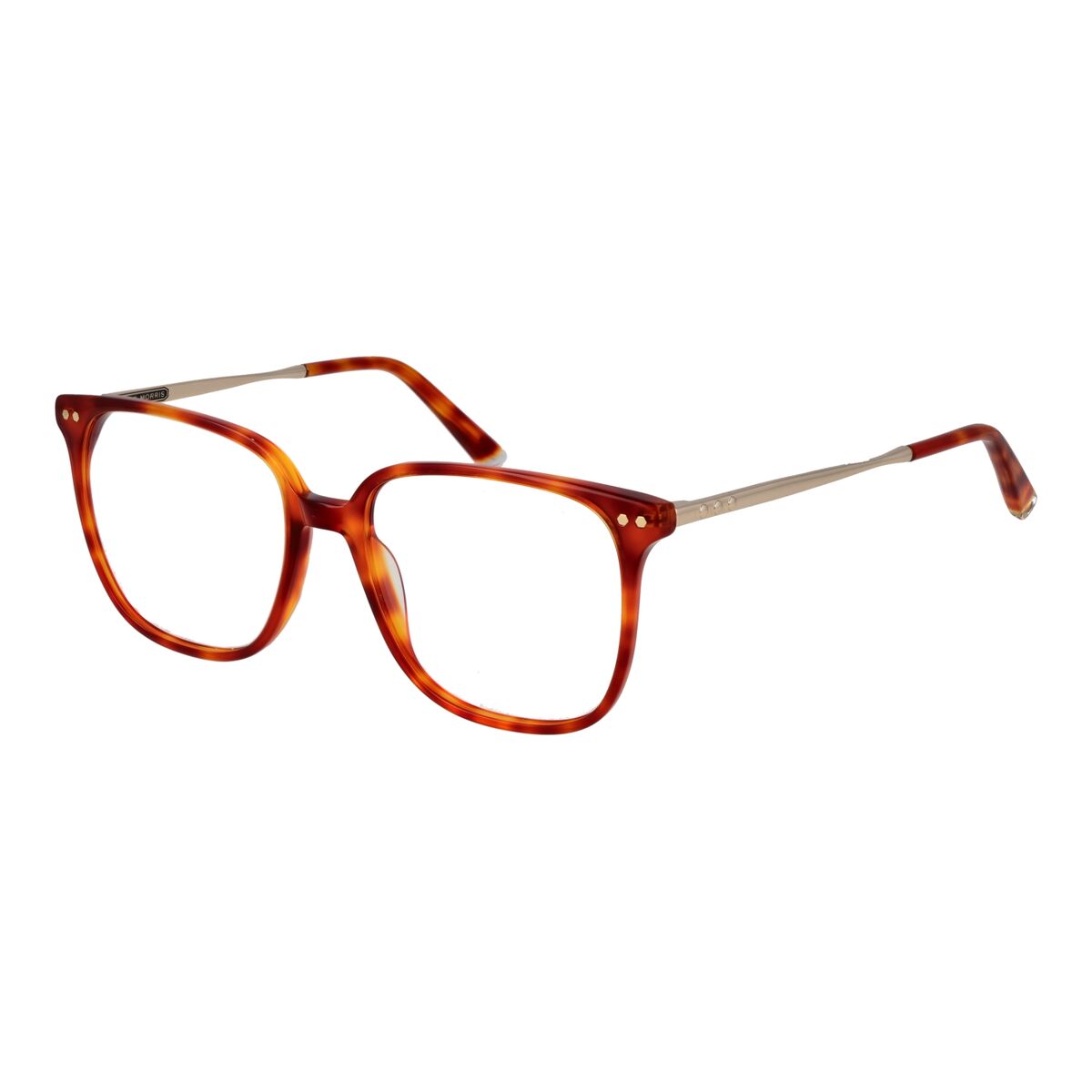 Glasögonbågar Taylor Morris TM08 53C2