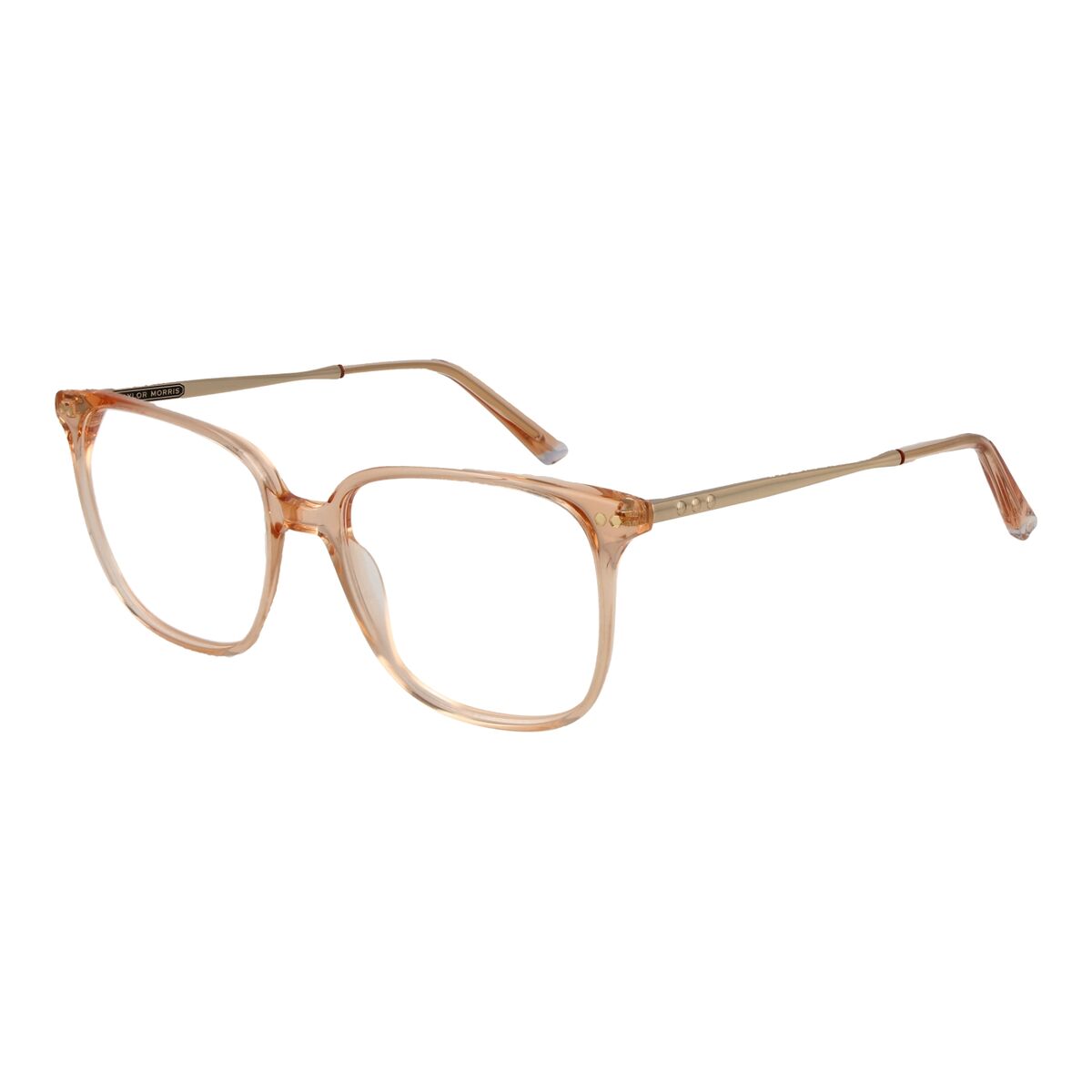 Glasögonbågar Taylor Morris TM08 53C3