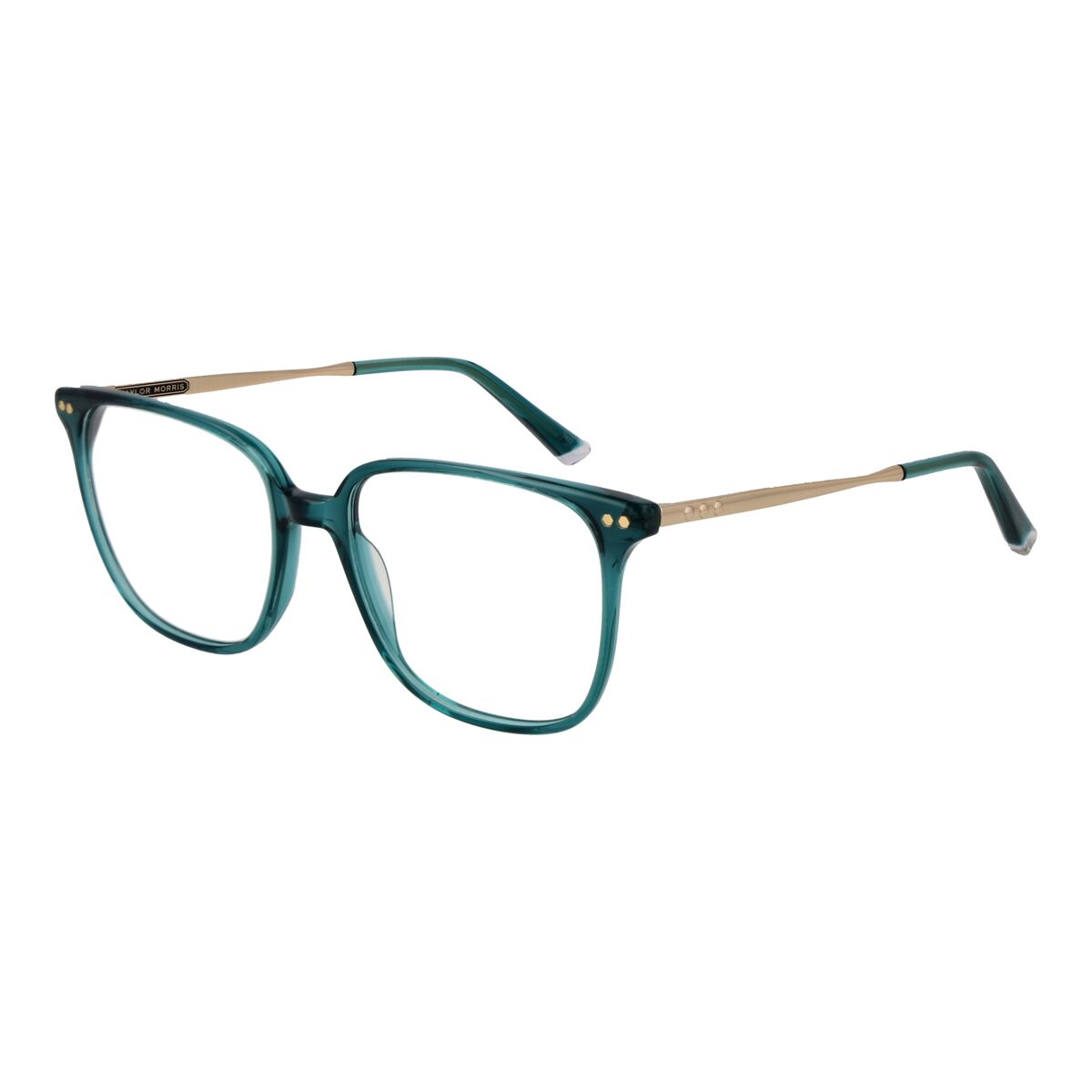 Glasögonbågar Taylor Morris TM08 53C4