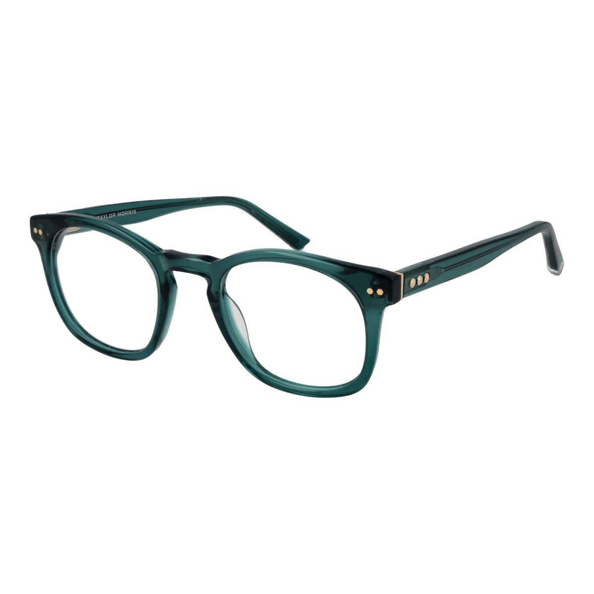 Glasögonbågar Taylor Morris W8 49C5