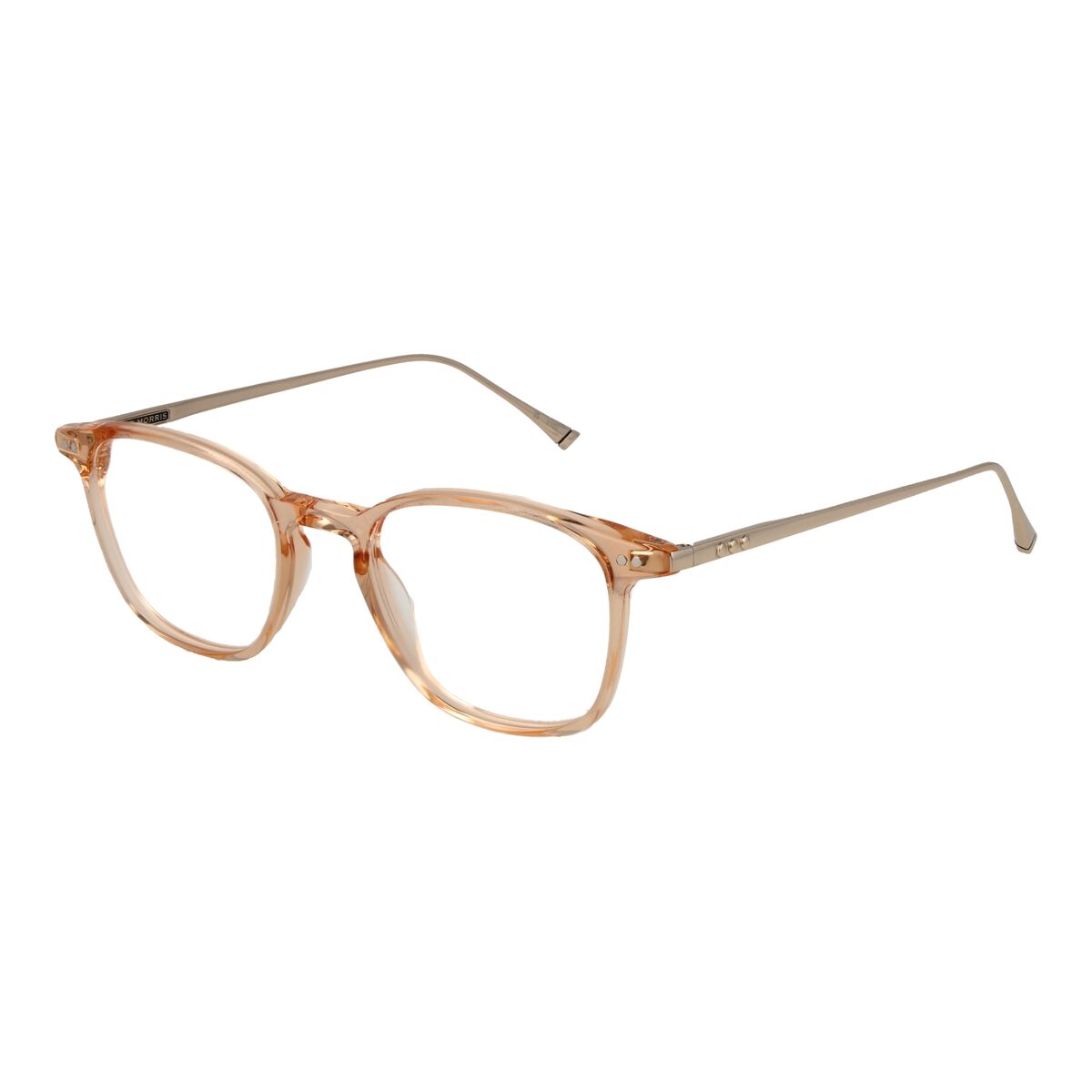 Glasögonbågar Taylor Morris W9 48C5