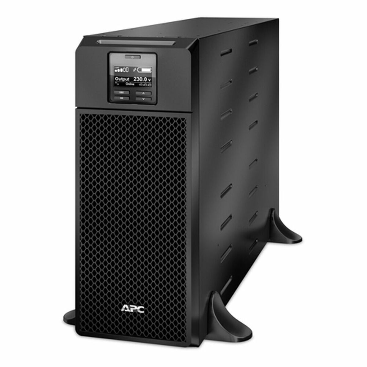 SAI Interaktiv Avbrottsfri Kraftförsörjning (UPS) APC SRT6KXLI