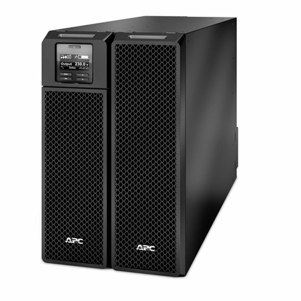 SAI Interaktiv Avbrottsfri Kraftförsörjning (UPS) APC SRT8KXLI