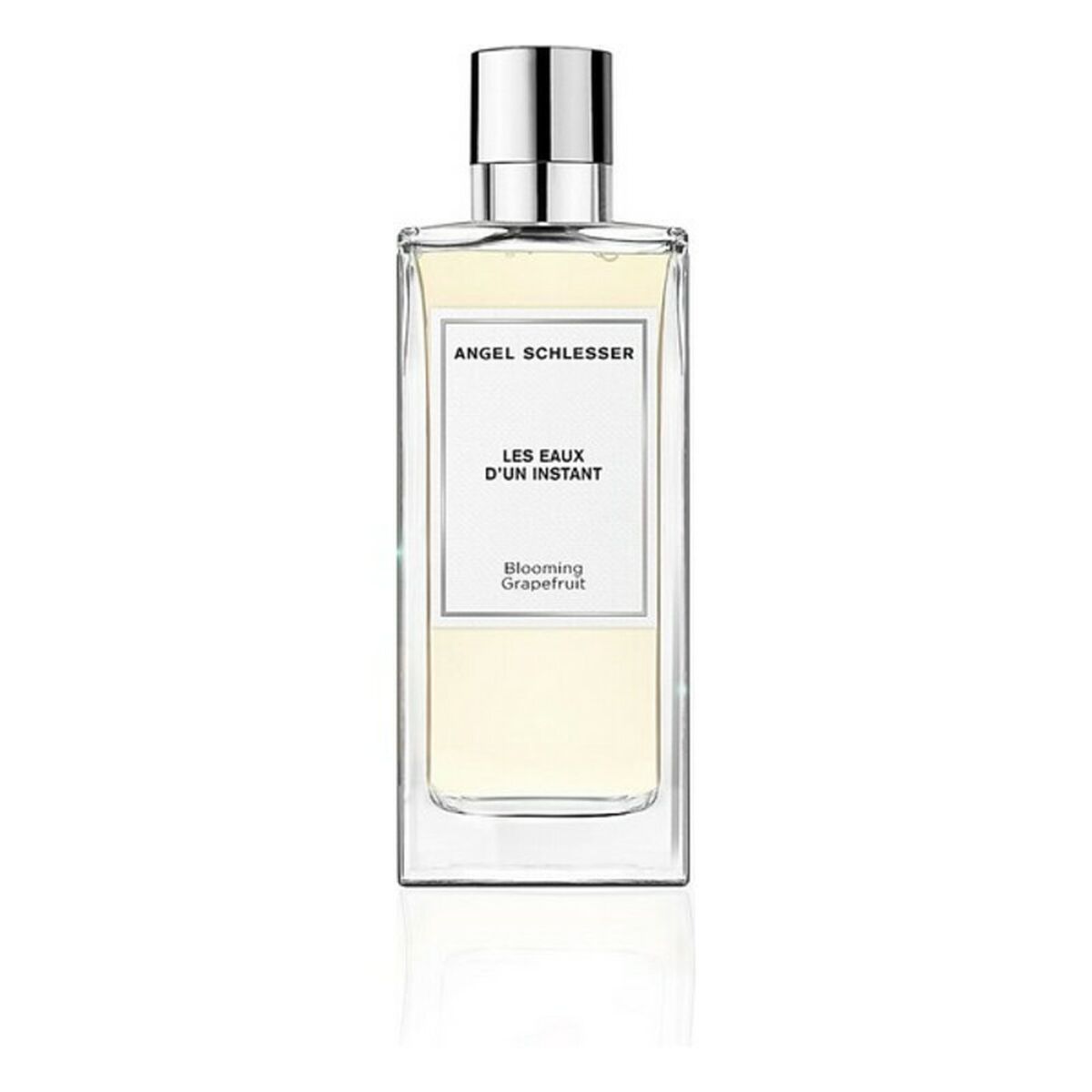 Parfym Damer Angel Schlesser BF-8058045426837_Vendor EDT 100 ml