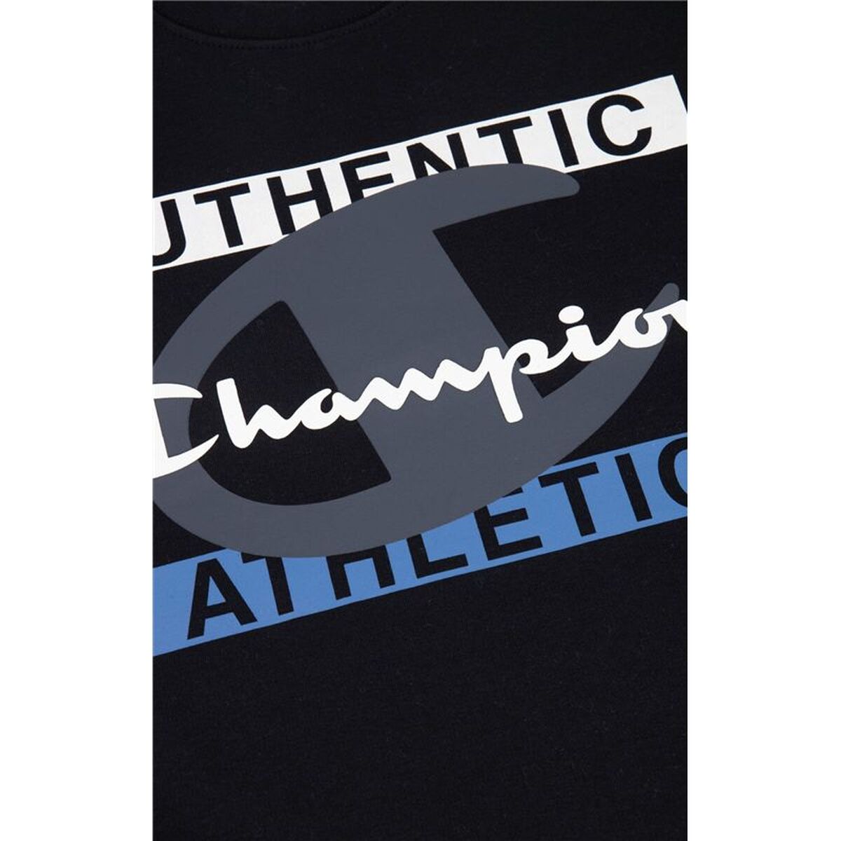 Tröja utan huva Herr Champion Authentic Athletic M Svart - 2