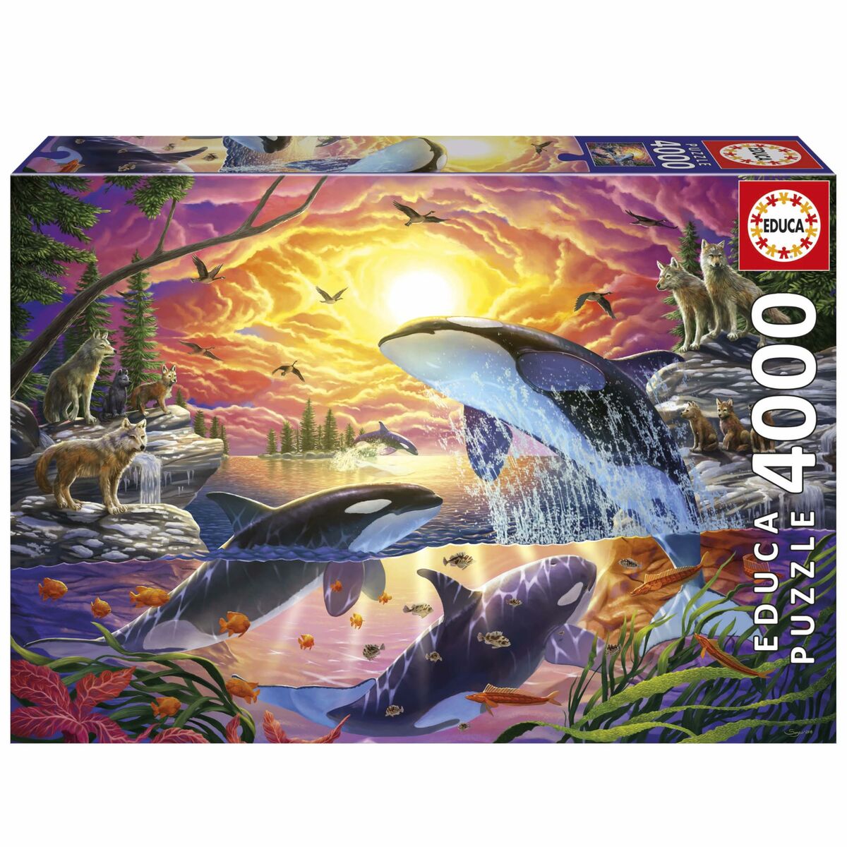Pussel Educa Orcas y Lobos 4000 Delar - 2